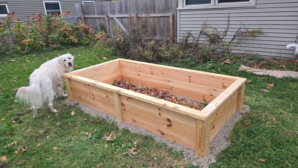 Image: see caption "One of my dogs..."